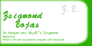 zsigmond bojas business card